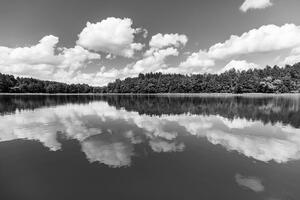 Fototapeta černobílé jezero v létě