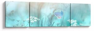 Obraz - Motýlek v modrém (170x50 cm)