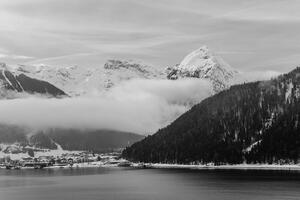 Fototapeta zimní krajina v černobílém