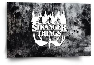 Sablio Obraz Stranger Things White - 120x80 cm