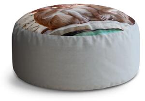 Sablio Taburet Circle Opičky: 38x48 cm