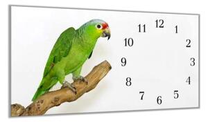 Nástěnné hodiny 30x60cm papoušek amazoňan - plexi