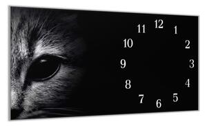 Nástěnné hodiny 30x60cm detail hlavy kočky - plexi