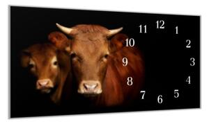 Nástěnné hodiny 30x60cm portrét kráva a býk - plexi