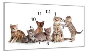 Nástěnné hodiny30x60cm kočky a koťata - plexi