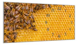 Nástěnné hodiny 30x60cm včelí plástev se včelou - plexi