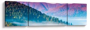 Obraz - Panorama 2 (170x50 cm)
