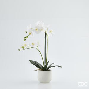 Bílá umělá orchidej ve vázičce EDG H53