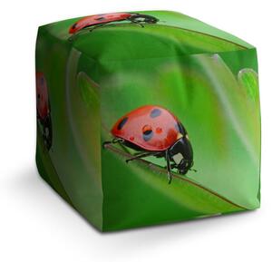 Taburet Cube beruška na listu, zelená