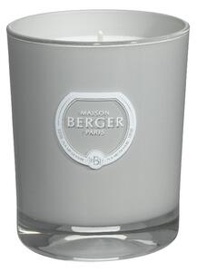 Maison Berger Paris Svíčka Proti komárům – Citronella, 180 g 6385