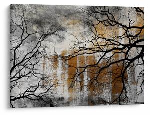 Obraz - Siluety stromů (70x50 cm)