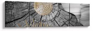 Obraz - Kmen stromu v koláži (170x50 cm)