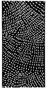 Breno Kusový koberec INK 463 007/AF900, 80x140 cm, Černá