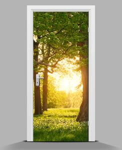 Nálepka fototapeta na dveře Slunce mezi stromy wallmur-pl-f-82116475