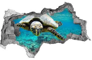 Díra 3D fototapeta nálepka Mořská želva nd-b-83762438