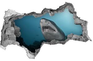 Díra 3D fototapeta nálepka Velký žralok nd-b-120086004
