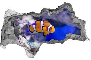 Díra 3D fototapeta Korálový útes nd-b-120479478