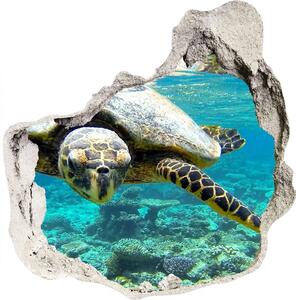 Díra 3D fototapeta nálepka Mořská želva nd-p-83762438