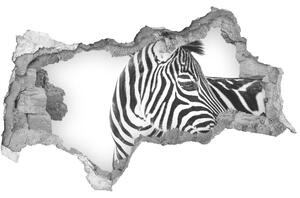 Díra 3D fototapeta nálepka Zebra na sněhu nd-b-121577688