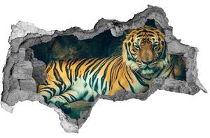 Díra 3D fototapeta nálepka Tygr v jeskyni nd-b-121530926