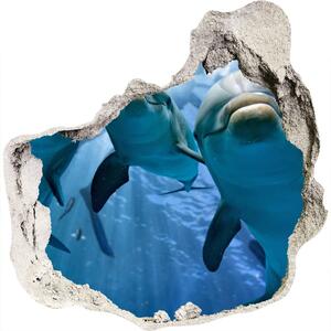 Díra 3D fototapeta na stěnu Tři delfíni nd-p-119968160