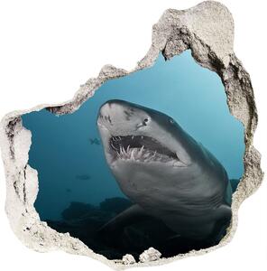 Díra 3D fototapeta nálepka Velký žralok nd-p-120086004
