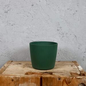 Prosperplast plastový květináč Milly round pine green Ø 10 cm