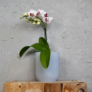 Elho plastový květináč Vibes Fold Orchid transparentný Ø 13 cm
