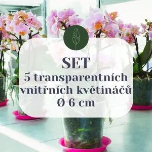 SET 5 průhledných vnitřních květináčů Ø 6 cm