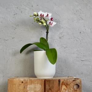 Elho plastový květináč Vibes Fold Orchid silky white Ø 13 cm