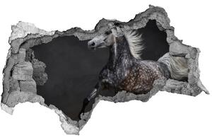 Díra 3D fototapeta na stěnu Šedý arabský kůň nd-b-49747605