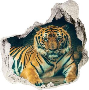 Díra 3D fototapeta nálepka Tygr v jeskyni nd-p-121530926
