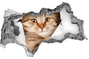 Díra 3D fototapeta na stěnu nálepka Kočka nd-b-52539512