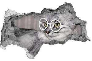 Díra 3D fototapeta nálepka Kočka v brýlích nd-b-115959381