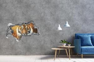 Díra 3D fototapeta na stěnu Bengálský tygr nd-b-116603957