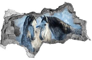Díra 3D fototapeta nálepka Šedí koně zima nd-b-116887257
