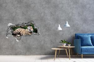 Fototapeta díra na zeď Tygr na skále nd-b-118161704