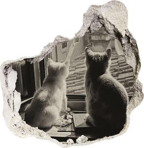 Díra 3D fototapeta nálepka Kočky u okna nd-p-86646592