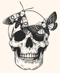 Ilustrace Hand drawn human skull head butterfly, Julia Solodukhina
