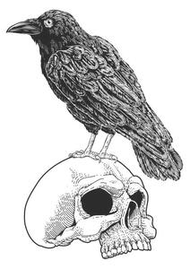 Ilustrace Crow Raven Corvus Bird and Skull Vintage Woodcut, ChrisGorgio
