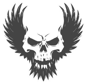 Ilustrace Black skull illustration with wings, d1sk