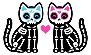 Ilustrace Black skeleton cats couple with Mexican, Sudowoodo