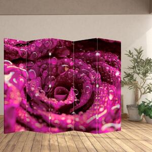 Paraván - Růžový květ růže (210x170 cm)