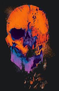 Ilustrace Skull, OsakaWayne Studios
