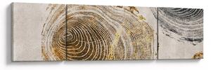 Obraz - Abstrakce kmenů (170x50 cm)