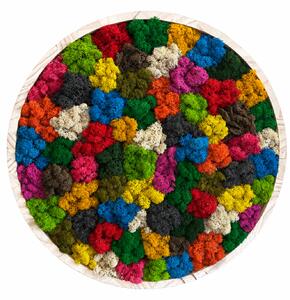 Mechový kruh - Rainbow Velikost rámu: 30cm