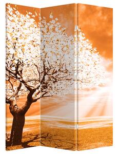 Paraván - Oranžový strom (126x170 cm)