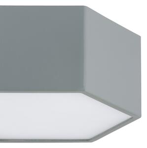 Argon 8784 - LED Stropní svítidlo LIBERO LED/12W/230V 3000K šedá