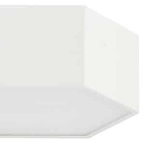 Argon 8781 - LED Stropní svítidlo LIBERO LED/12W/230V 3000K bílá