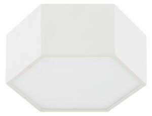 Argon 8781 - LED Stropní svítidlo LIBERO LED/12W/230V 3000K bílá